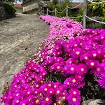 Casas Olas Villa *