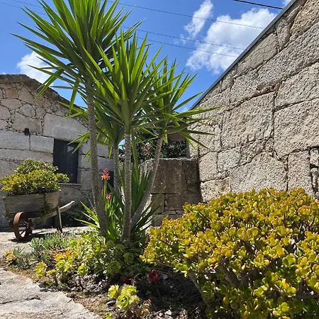 Casas Olas