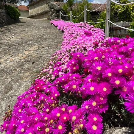Casas Olas Villa *