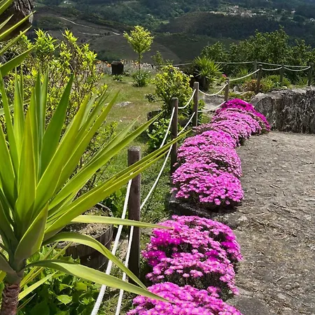 Villa Casas Olas
