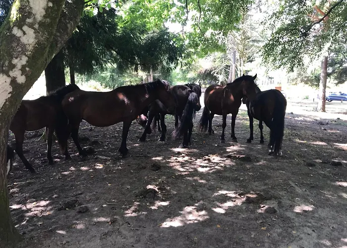 Villa Casas Olas Arcos de Valdevez